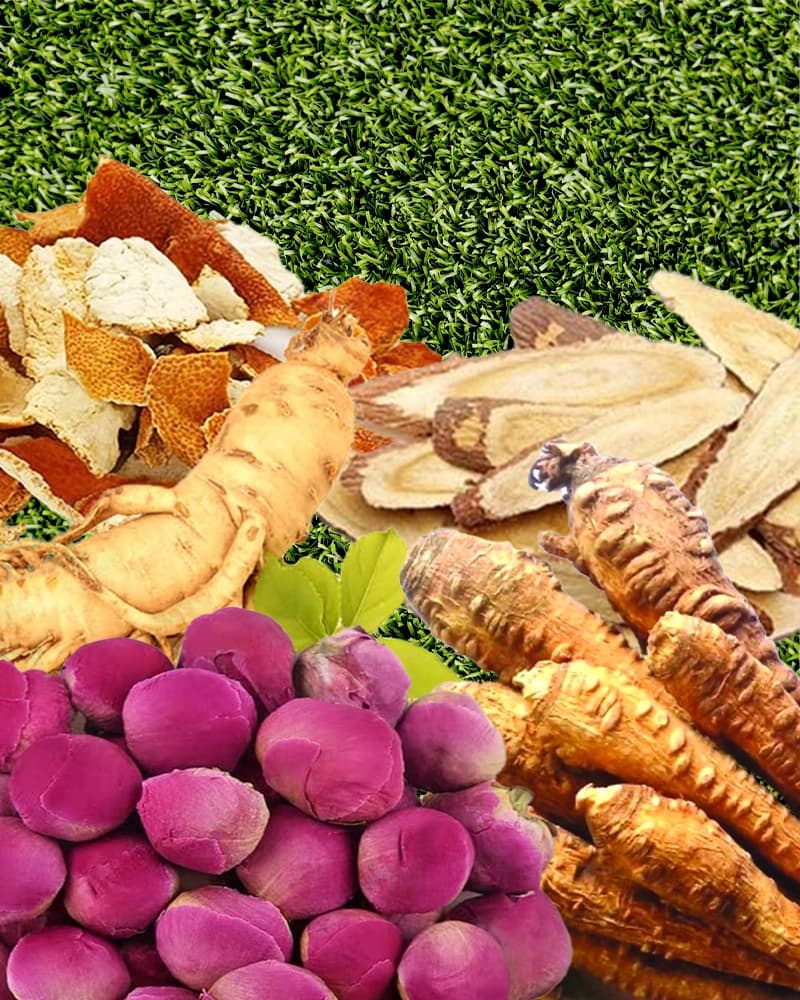 Các thành phần tự nhiên của Jaungo