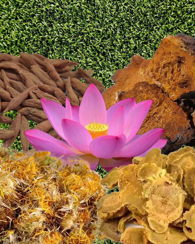 Hoa sen hồng và các thành phần tự nhiên